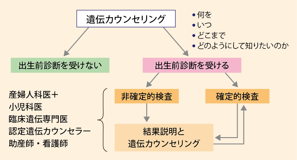 【図1】出生前診断の遺伝カウンセリング