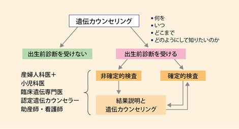 【図1】出生前診断の遺伝カウンセリング